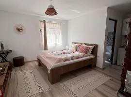 Hățăgel Country House