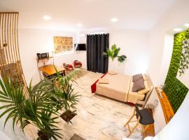L'ombelico del Monte - appartamenti del centro storico - JUST RESTORED MAY 2024，位于皮亚扎-阿尔梅里纳的公寓