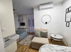 Studio apartman Viktor