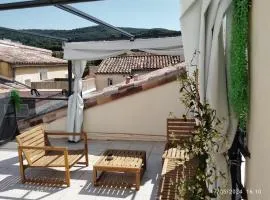 Un nid sur les toits avec terrasse