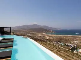 Extraordinary Mykonos Villa | Villa Shifu | 6 Bedrooms | Unique Aegean Sea Views | Private Infinity Pool | Ftelia beach