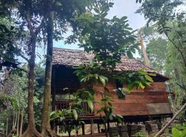 Pondok Wisata kamtabai Forest Hut，位于Wairemah的山林小屋
