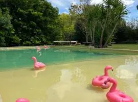 Le Patio, chambres d hôtes pour adultes en Camargue, possibilité de naturisme à la piscine,