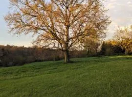 Couette et Tartinettes