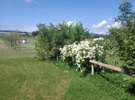 Agriturismo Il Cipresso
