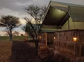 Green Garden Serengeti Tented Camp