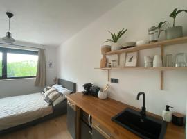 Studio Arnoštka，位于温佩尔克的酒店