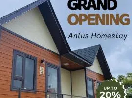 Antus Homestay