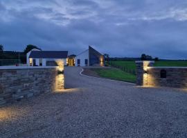 Lovely Laois Loft Apartment，位于卡洛的旅馆