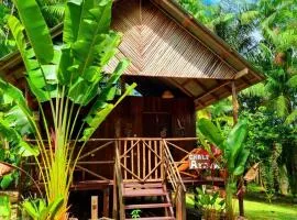 Ponta Poranga Jungle Lodge