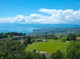 Lakeview Apartment-Lavaux