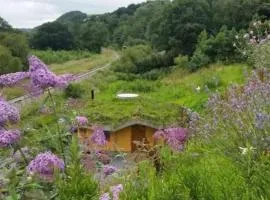 Tara vegetarian retreat guesthouse