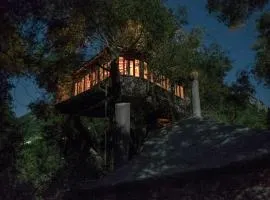 Margaritis's Treehouse