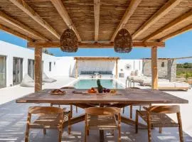 Noble Pearl Villas Paros