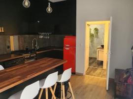 Charmant appartement cosy en hyper-centre，位于图尔的酒店