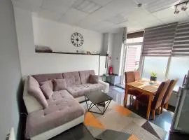 741 Slate Apartament Jedlina - Zdrój