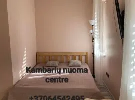All kinds of rent in the center