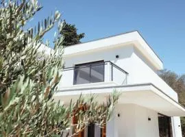 Villa Contemporaine Architecte