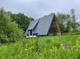 Cabana A-frame Cricov 9