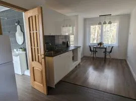 Pine forest house 6