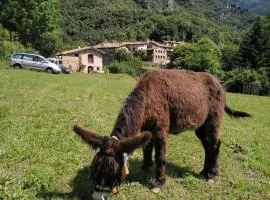 Mas La Cabanya Beget Xalet de muntanya