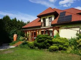 Comfortable house with garden