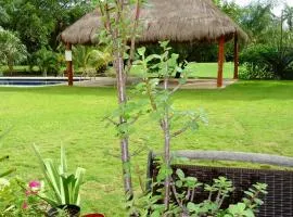 妈妈之家住宿加早餐酒店