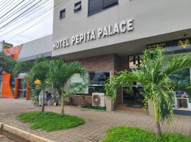 Hotel Pepita Palace，位于锡诺普的酒店