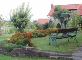 Golden Rose Apartman，位于赞考的酒店