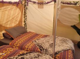 glamping in Dromineer，位于DromineerLough Derg Yacht Club附近的酒店