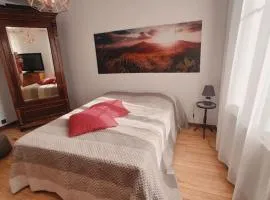 Maison à 6km de Strasbourg, à 2h de Paris en TGV