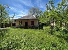 Little Garden House