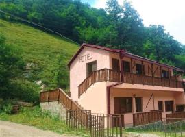 Getik Hotel，位于迪利然的酒店