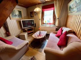Gemuetliches-kleines-Ferienhaeuschen-Nr-3-im-Harz-fuer-max-3-Personen-inkl-Balkon，位于Sieber的酒店