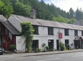 Dragon Bed and Breakfast，位于贝图瑟科伊德的酒店