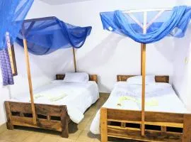 STC Domus Aurea Safaris
