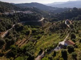 Iris Cretan Mountain Escape