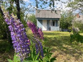 Grandma's summer house，位于卢扎的露营地