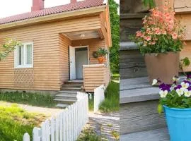 Viihtyisä yksiö lähellä Fiskarsin ruukkia