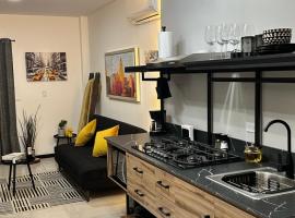 Departamento Loft en Chihuahua Centro，位于奇瓦瓦的酒店