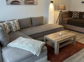 Rheinblick Appartements，位于雷马根的酒店