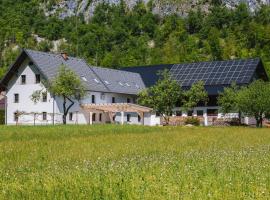 Domačija Log v Bohinju