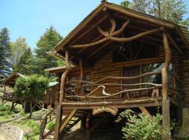 Suenos del Bosque "Cabanas & Vagones" Apartamentos，位于Atos Pampa的山林小屋