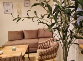 Apartamenty Magvel Szczecin