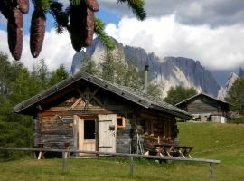 Almhütte Niglutsch，位于Kastelruth的酒店