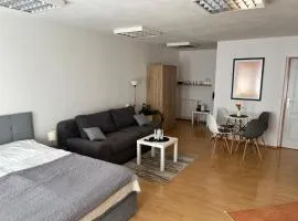 Apartmány v Zlatej uličke