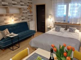 Apartamenty i Mieszkania Wakacyjne，位于查普伊的酒店