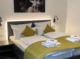 GuestHouse Große Linde，位于卡尔斯鲁厄的酒店