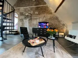 Luxurious and spacious apartment in historic building