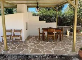 Traditional house with fresh vegetables garden